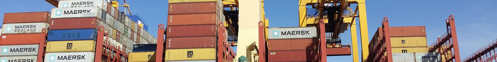 Báo giá phần mềm vận tải container